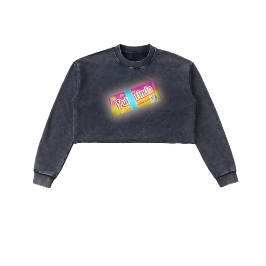 Snow Washed Raw Edge Cropped Sweatshirt