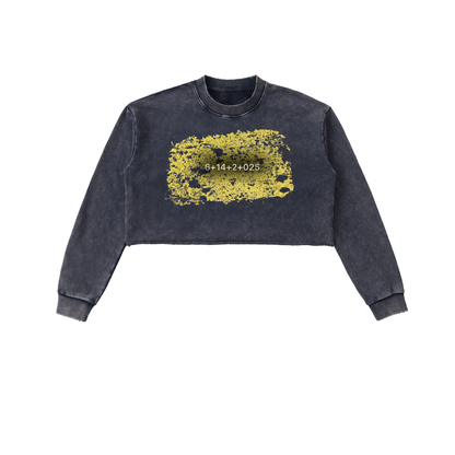 Snow Washed Raw Edge Cropped Sweatshirt